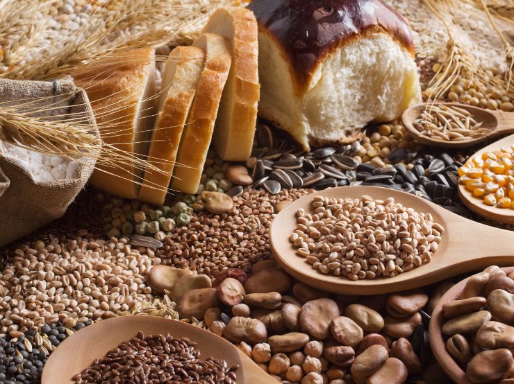 Indian Food Grains