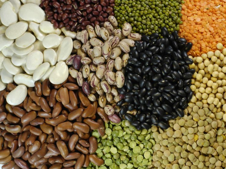 Indian Pulses