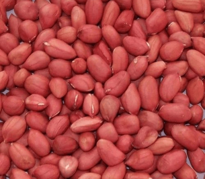 redskin-peanuts-500×500 redskin-peanuts-500x500